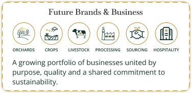 Brand Architecture